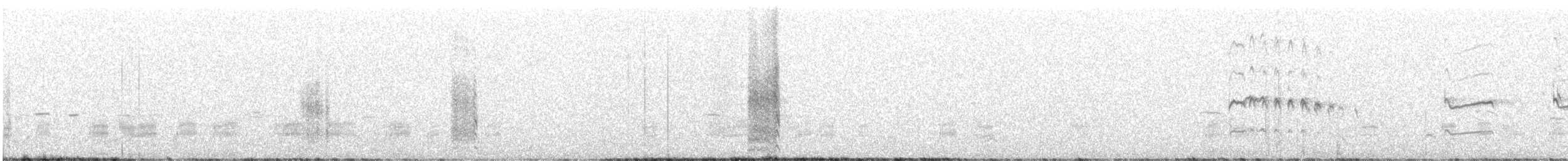 Wilson's Snipe - ML646437134