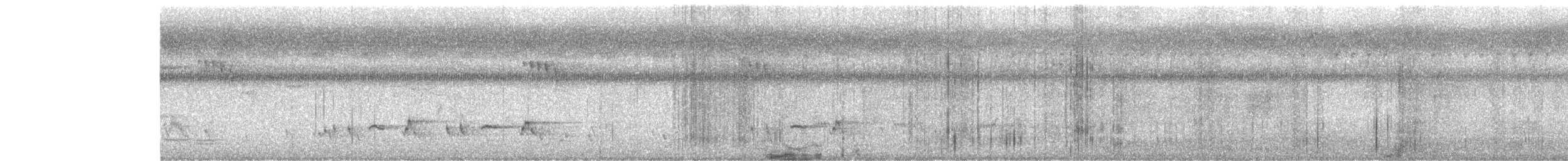 小卷尾 - ML646437588