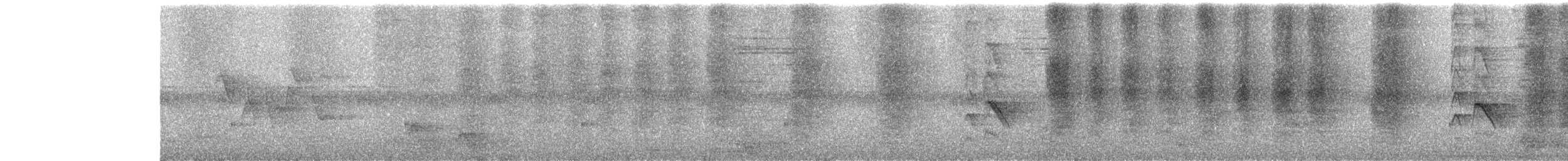 Drongo cendré - ML646437858