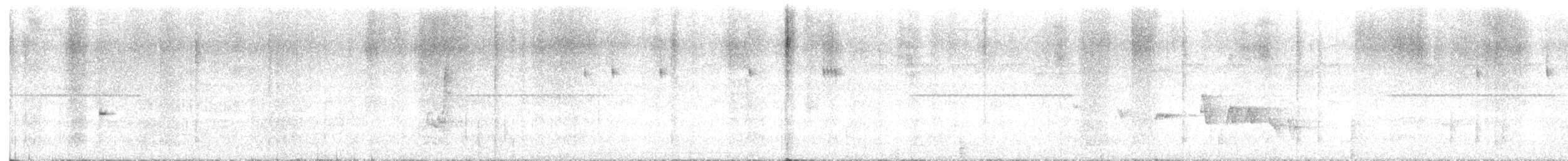 Olivscheitel-Stutzschwanz - ML646437961