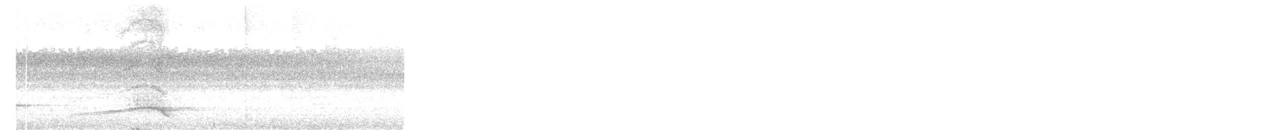 toflikkasuar - ML646438012