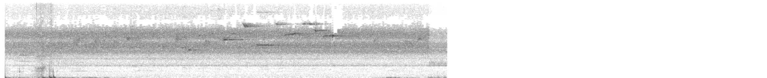 Abanico Gris (keasti) - ML646438052