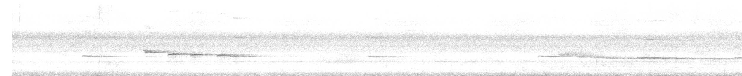 Papagayo Australiano - ML646438071