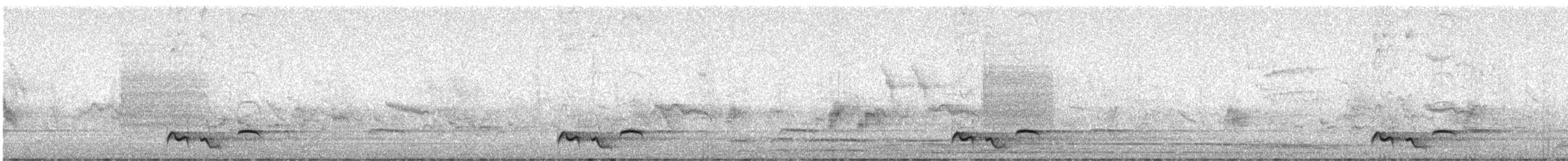 Black-streaked Scimitar-Babbler - ML646438174