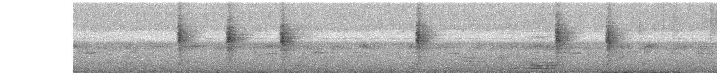 Белогорлая веерохвостка - ML646438207