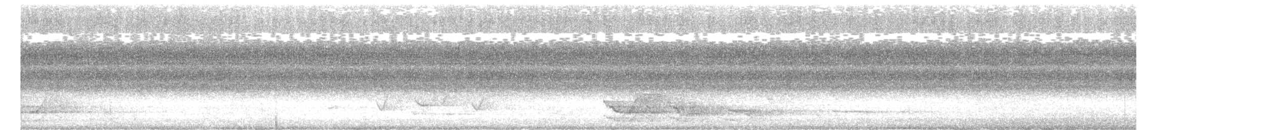 Пегий куравонг - ML646438337