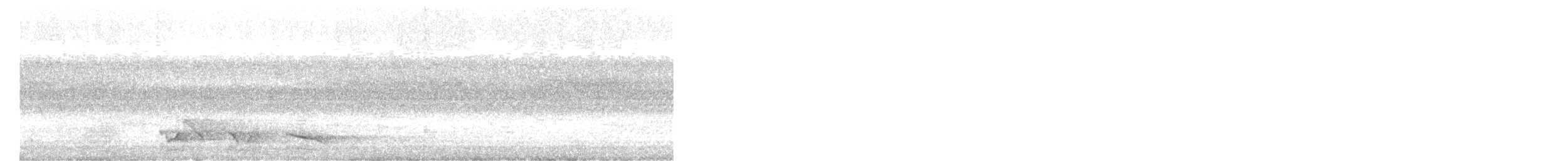 Пегий куравонг - ML646438338