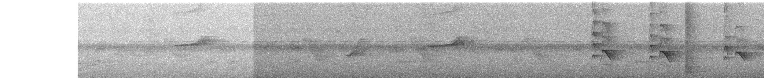 Пепельный дронго - ML646438421