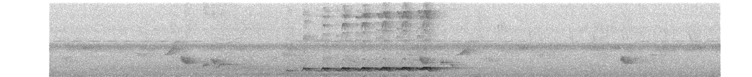 Коэль - ML646438480