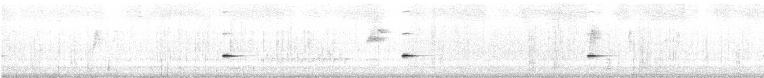 Леопардовый радужник (xanthopyge) - ML646438498