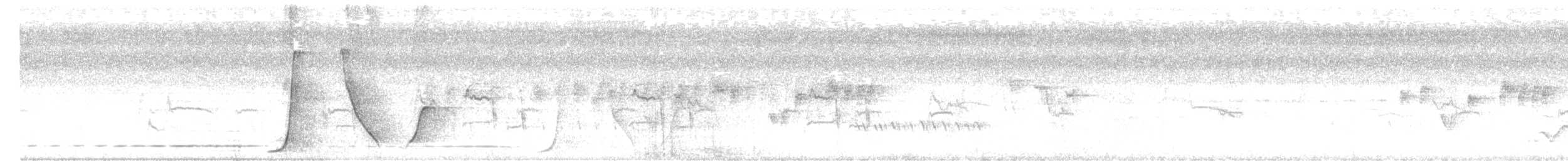 Белогорлая птица-бич - ML646438565