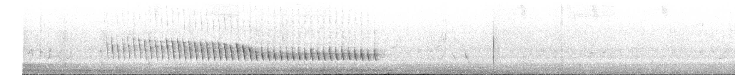 Белокрылый личинкоед-свистун - ML646438607
