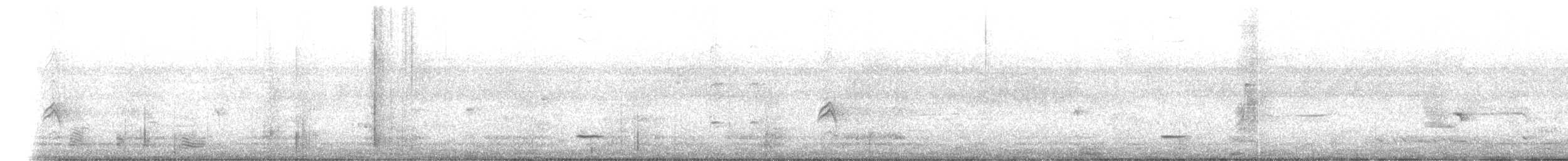 Ланграйн білогрудий - ML646439012