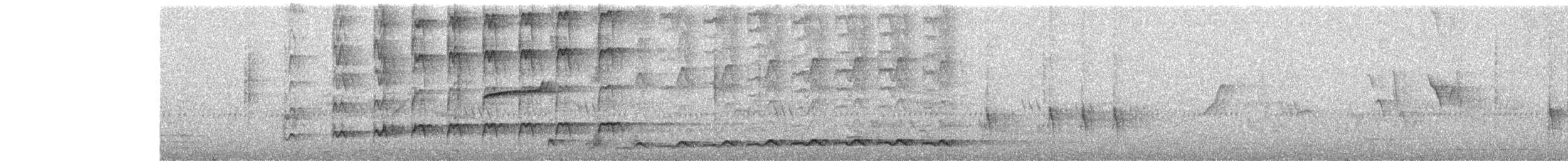 Coucou koël - ML646439168