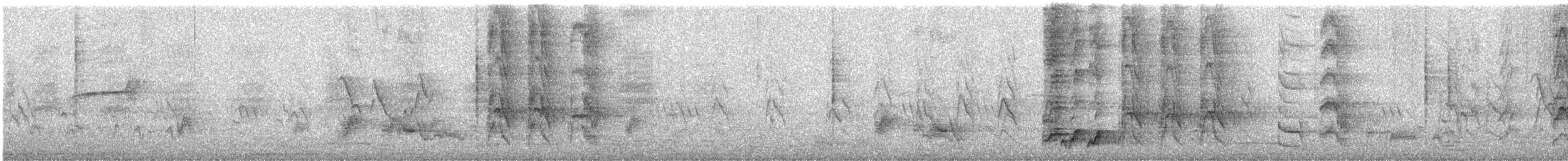 Coucou koël - ML646439197