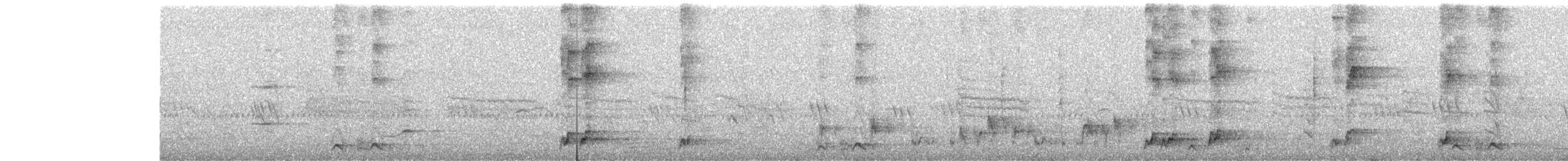 Koel Occidental - ML646439272