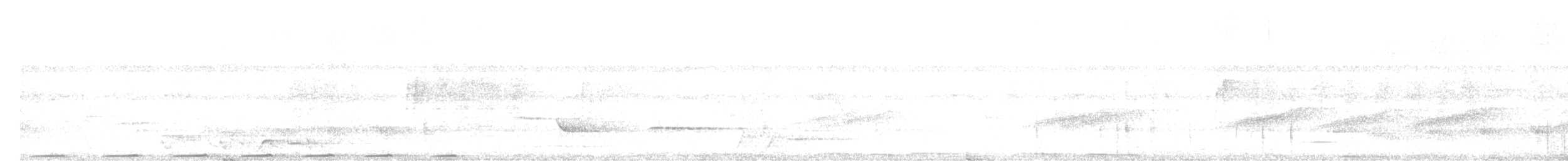 Тілопо смугастобокий - ML646439373