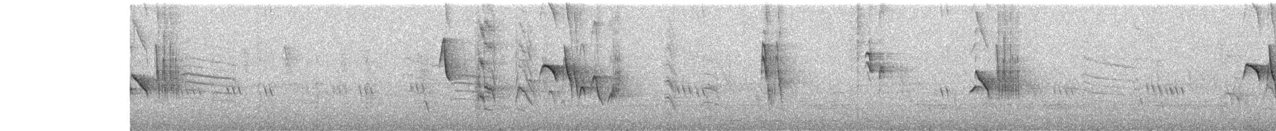 Shama indien - ML646439394