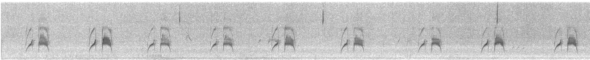 Пію блідий - ML646439416