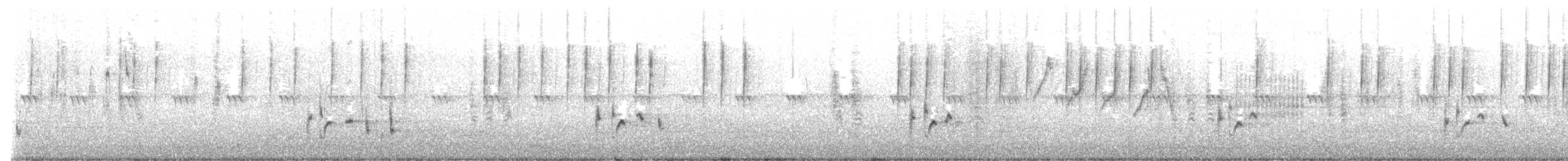 Prinia Delicada - ML646439848