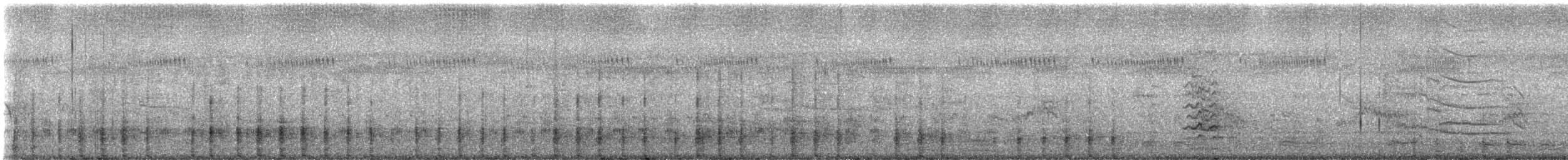 Крижень австралійський - ML646439940