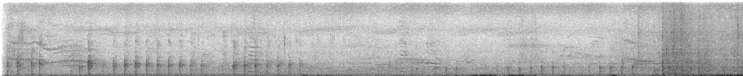 Крижень австралійський - ML646439950