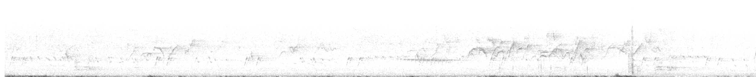 Кукавка віялохвоста - ML646440033