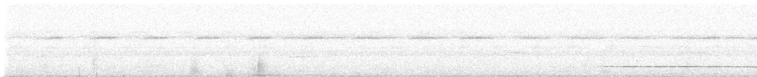 White-winged Potoo - ML646440220