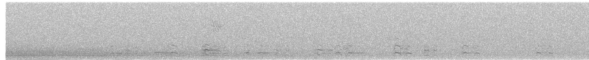 Blässgans - ML646440381