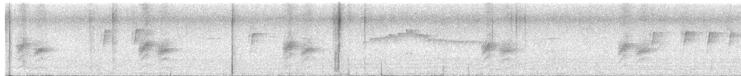 passerine sp. - ML646440433