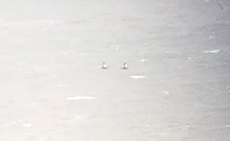 Хар монхдой - ML646440437