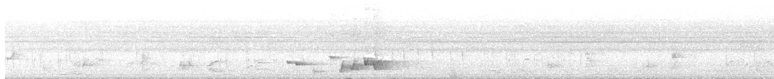 Eastern Nicator - ML646440513