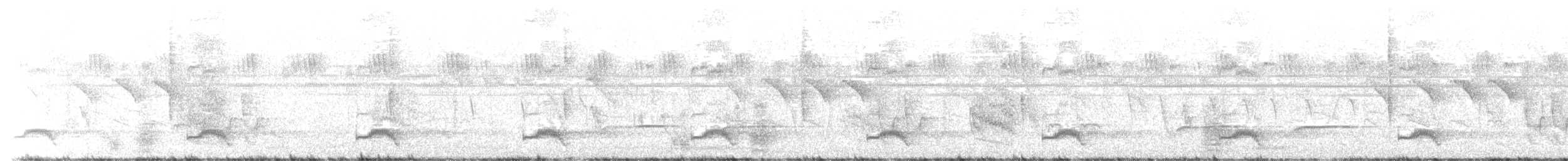 Levaillant's Cuckoo - ML646440536