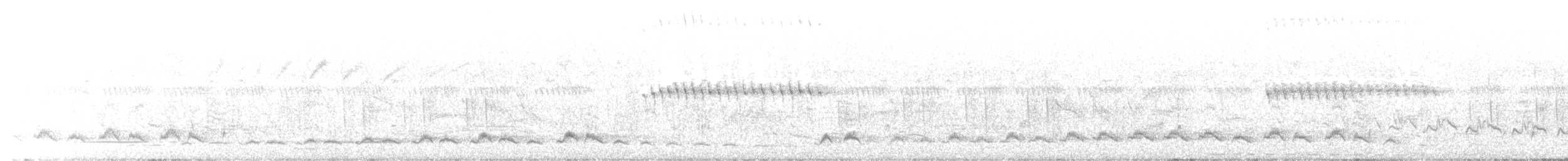 Black Cuckoo - ML646440546