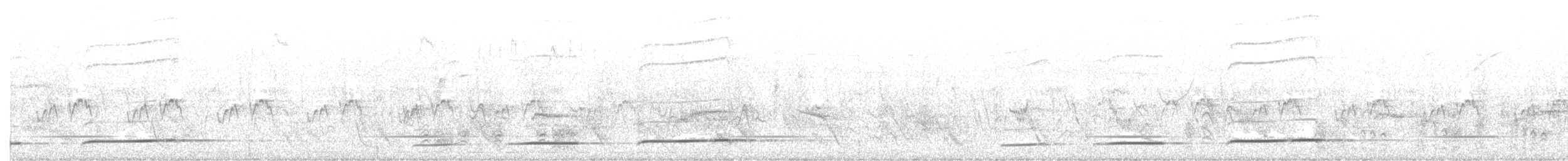 Black Cuckoo - ML646440547