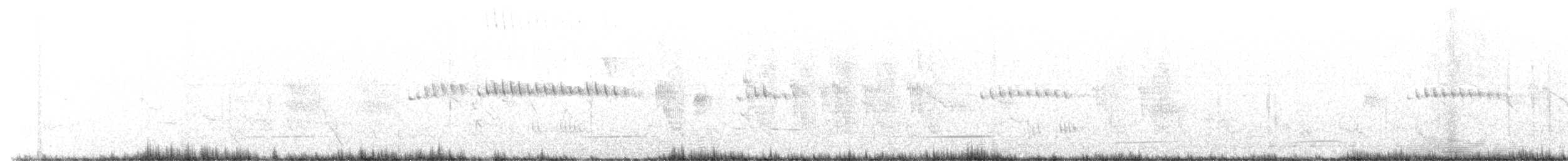 Black Cuckooshrike - ML646440571