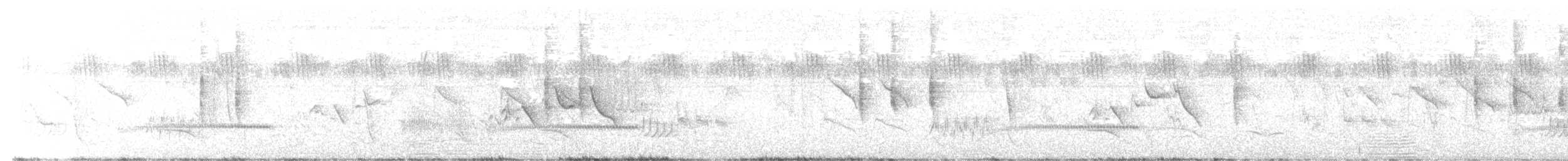 Brubru - ML646440575