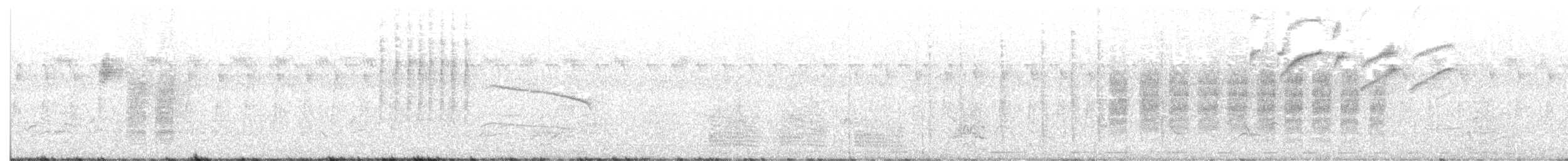 Southern Black-Tit - ML646440585