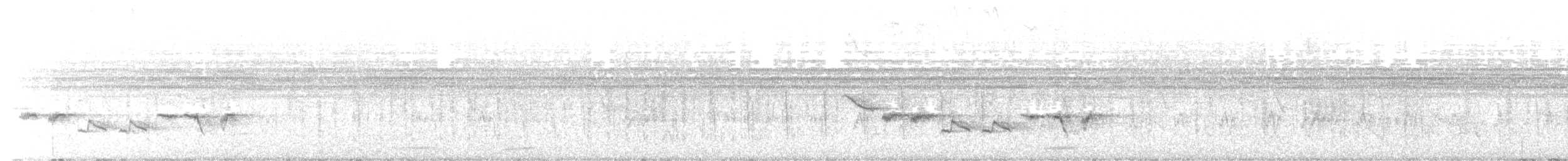 White-browed Scrub-Robin - ML646440617