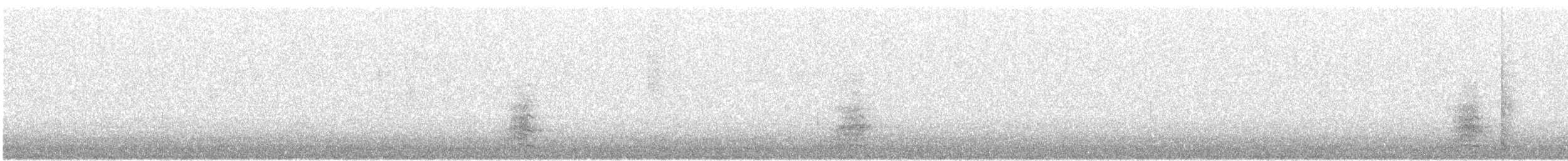 Gray Heron - ML646440686