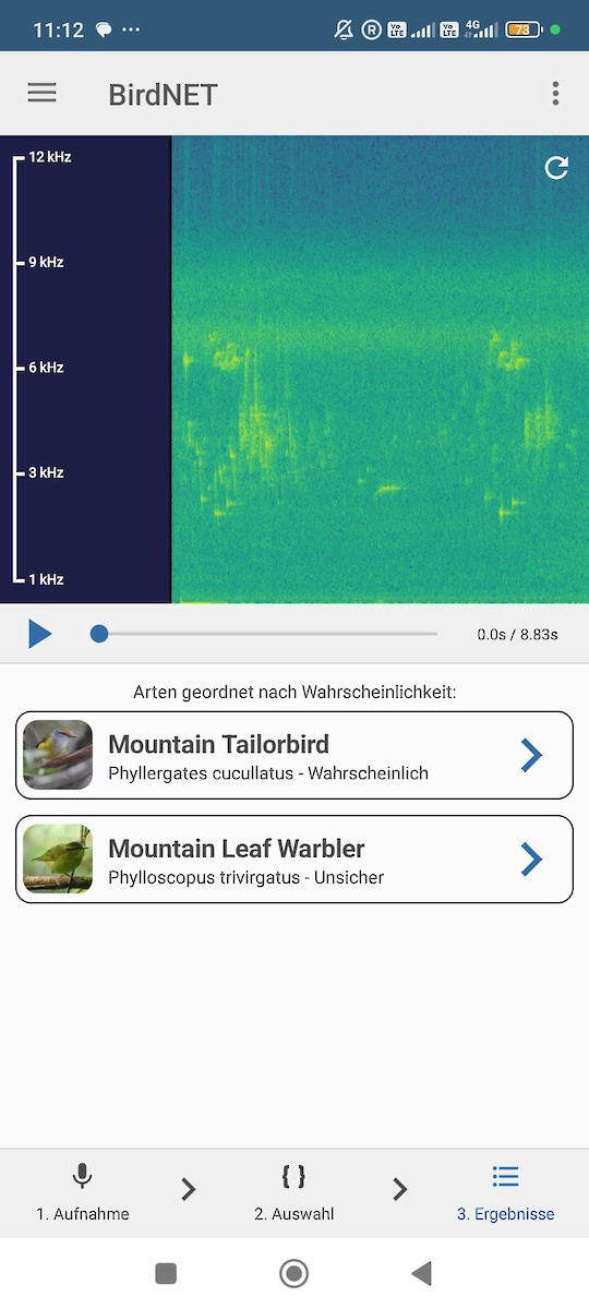 Mountain Leaf Warbler - ML646440709