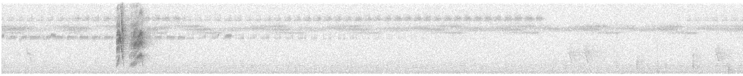 Tchitrec azuré - ML646441404