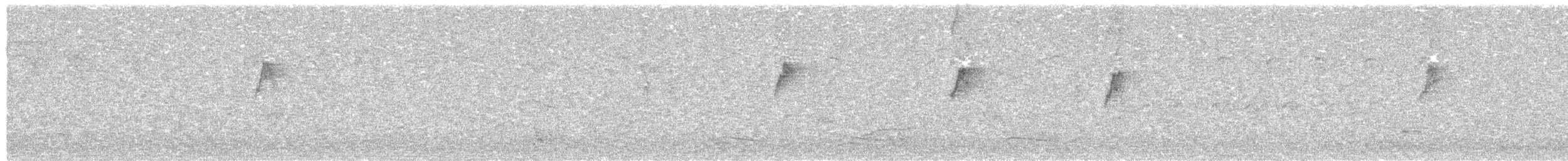 Bergpieper - ML646441532