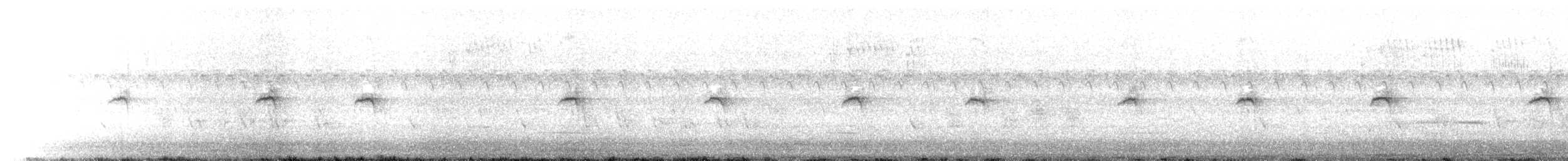 Papamoscas Acollarado - ML646441557