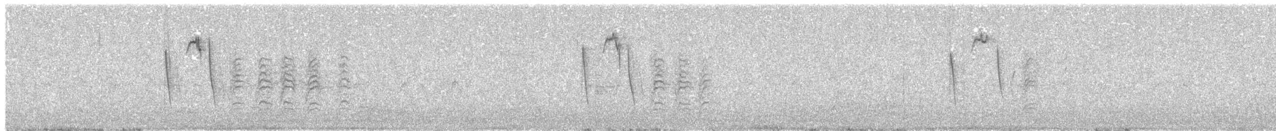 sýkora babka - ML646441876