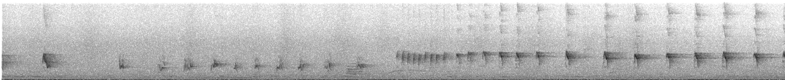 mustasjebylbyl - ML646441916