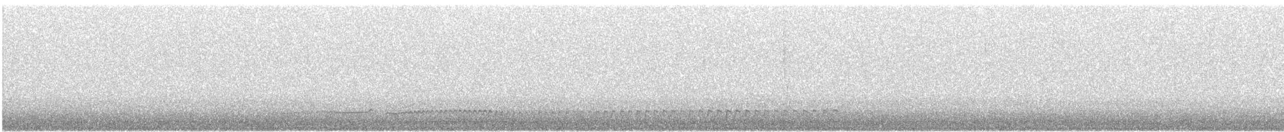 småspove - ML646441922