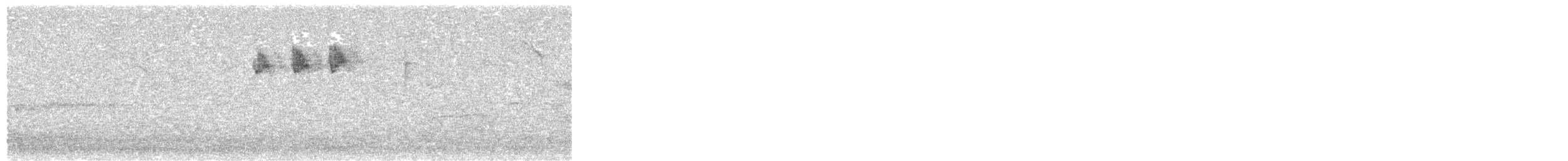 králíček ohnivý - ML646441967