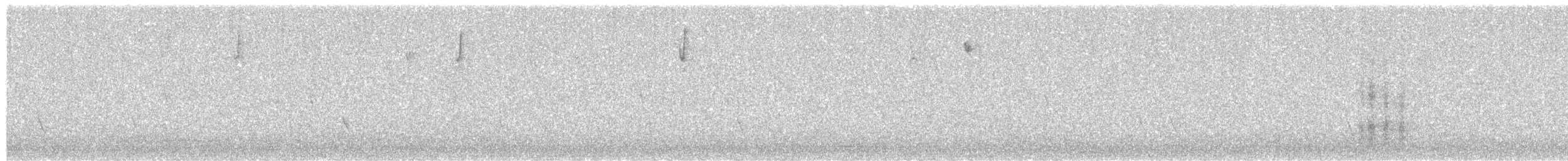 králíček obecný - ML646441973