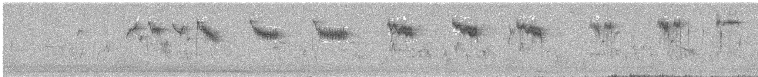 European Starling - ML646442069